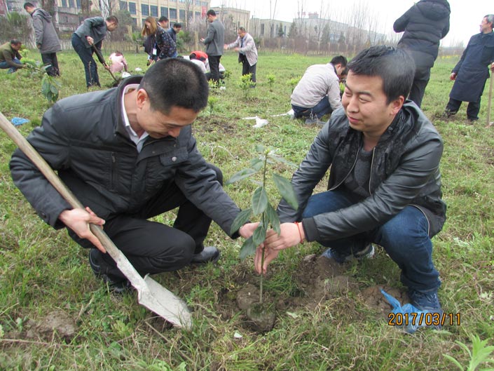 不朽情缘(中国)官方网站入口